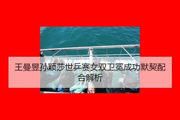 王曼昱孙颖莎世乒赛女双卫冕成功默契配合解析