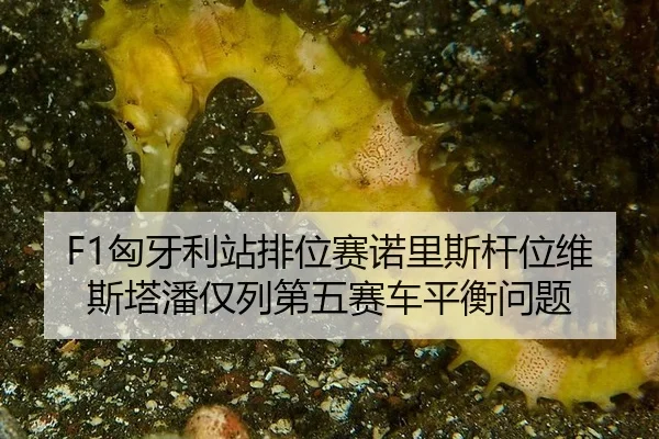 xiong-ya-li-zhan-pai-wei-sai-nuo-li-si-gan-wei-wei-si-ta-pan-jin-lie-di-wu-sai-che-ping-heng-wen-ti-3-865.jpg